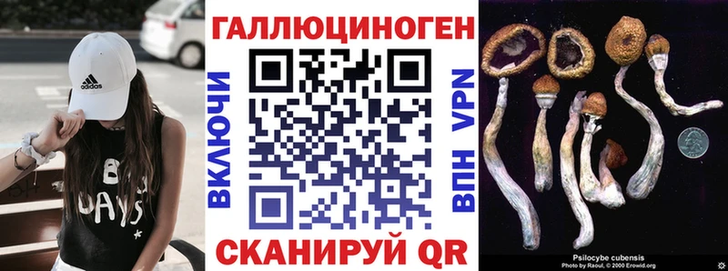 Псилоцибиновые грибы Psilocybe Фатеж
